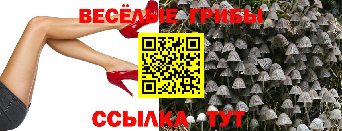 цены наркотик  Галлюциногенные грибы GOLDEN TEACHER  Псилоцибиновые грибы MAGIC MUSHROOMS  Вход с VPN  Корсаков 